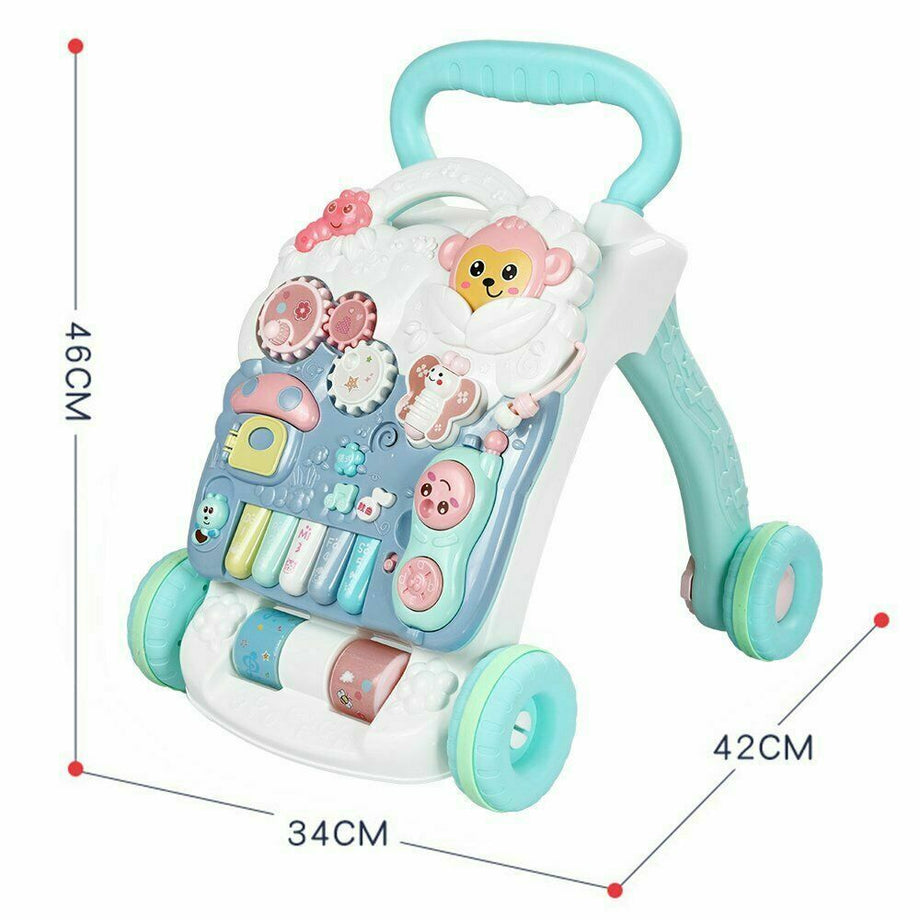 Baby Boys Girls Walker Activity Stand Learning Push Along First Steps Pram Toys